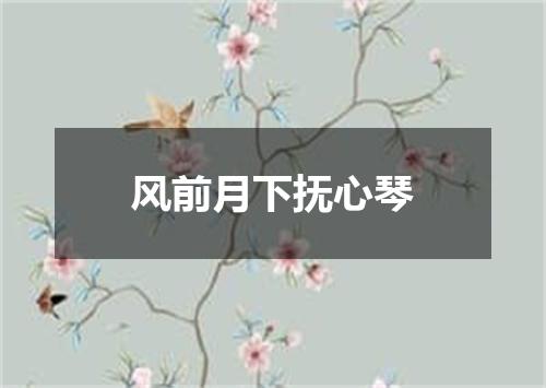 风前月下抚心琴