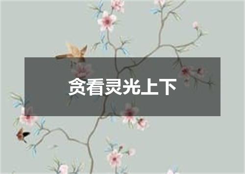 贪看灵光上下