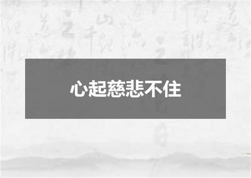 心起慈悲不住