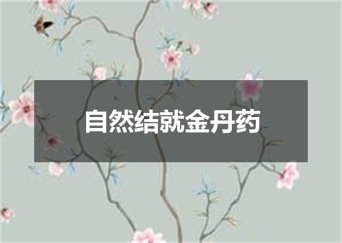 自然结就金丹药