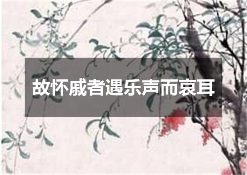 故怀戚者遇乐声而哀耳