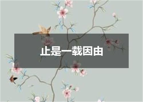 止是一载因由