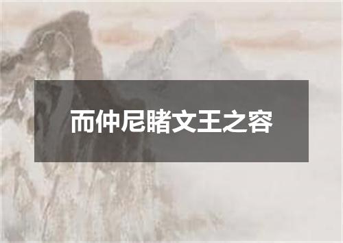 而仲尼睹文王之容