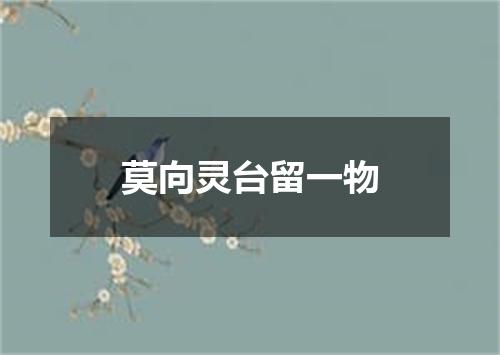莫向灵台留一物