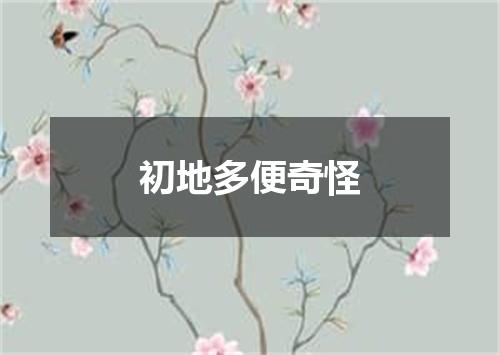 初地多便奇怪