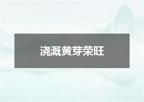 浇溉黄芽荣旺