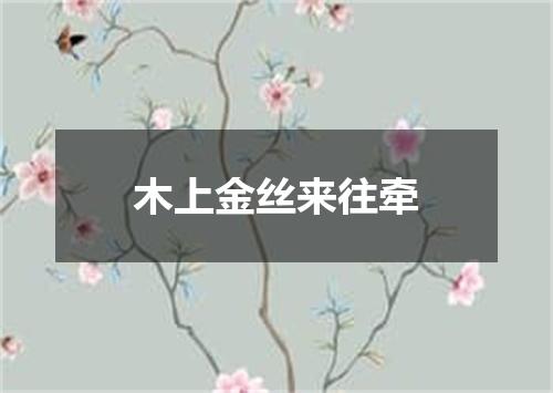 木上金丝来往牵