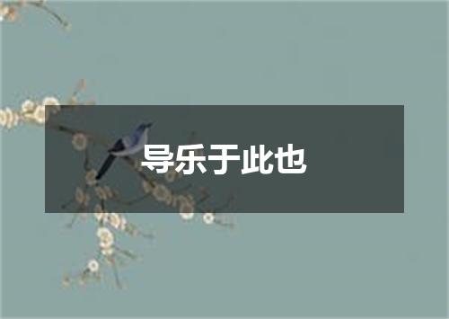 导乐于此也