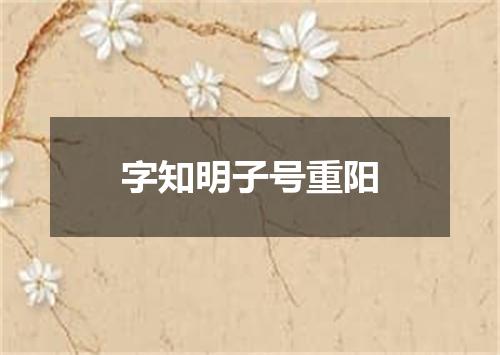 字知明子号重阳