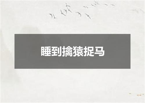 睡到擒猿捉马