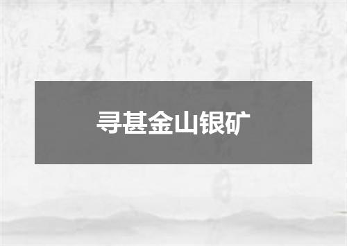 寻甚金山银矿