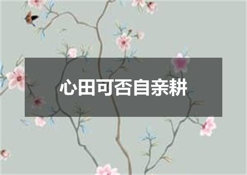 心田可否自亲耕