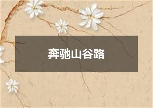 奔驰山谷路