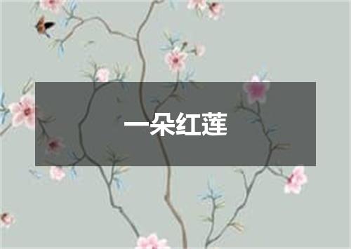 一朵红莲