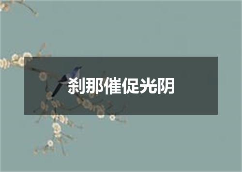刹那催促光阴