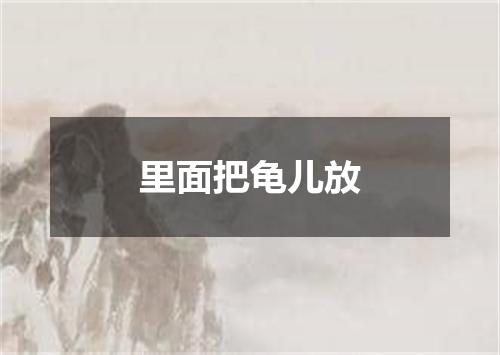里面把龟儿放