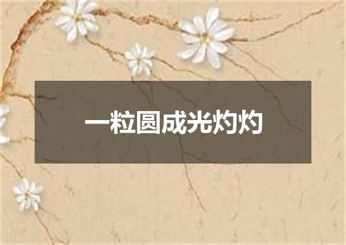一粒圆成光灼灼
