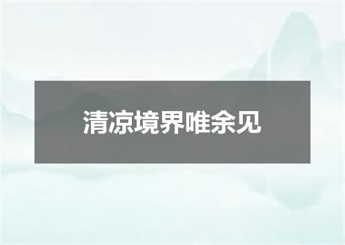 清凉境界唯余见