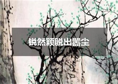 锐然颖脱出嚣尘