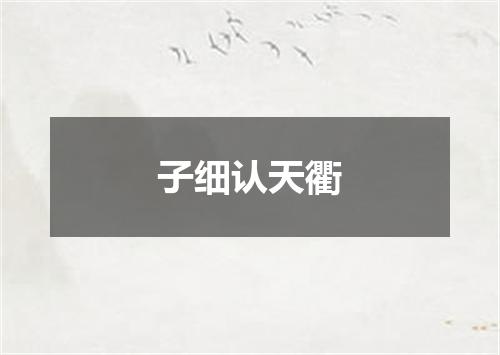 子细认天衢