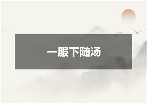 一服下随汤