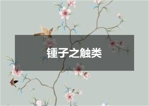 锺子之触类