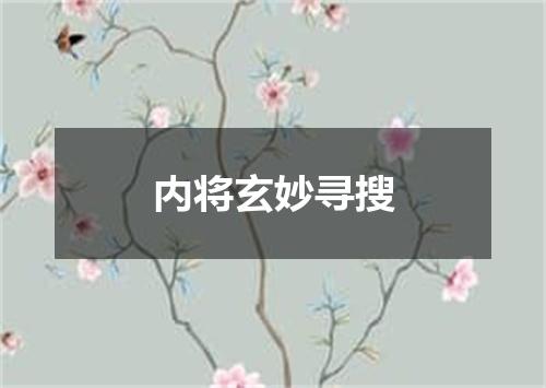 内将玄妙寻搜