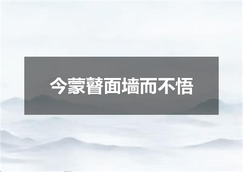 今蒙瞽面墙而不悟