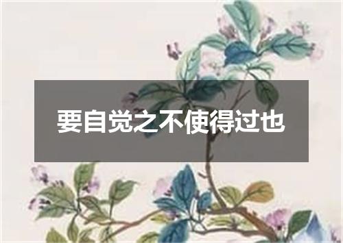 要自觉之不使得过也