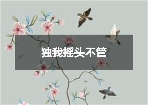 独我摇头不管