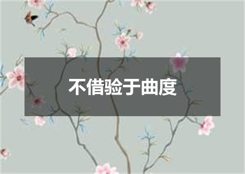 不借验于曲度