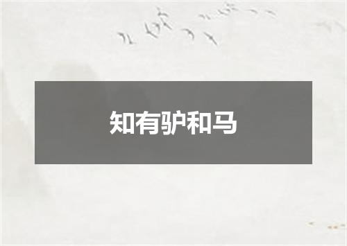 知有驴和马