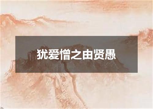 犹爱憎之由贤愚