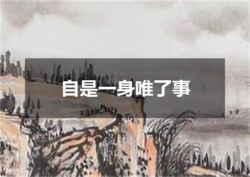 自是一身唯了事