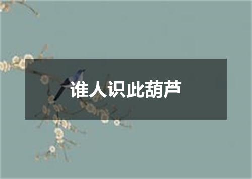 谁人识此葫芦