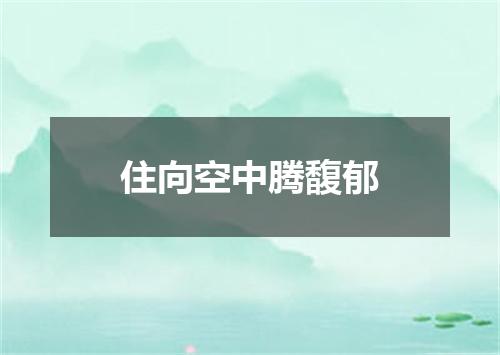 住向空中腾馥郁