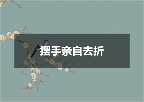 摆手亲自去折