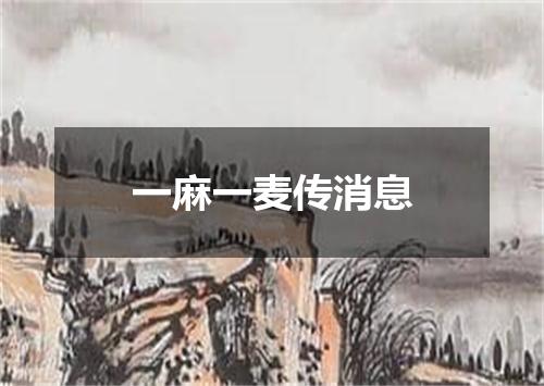 一麻一麦传消息