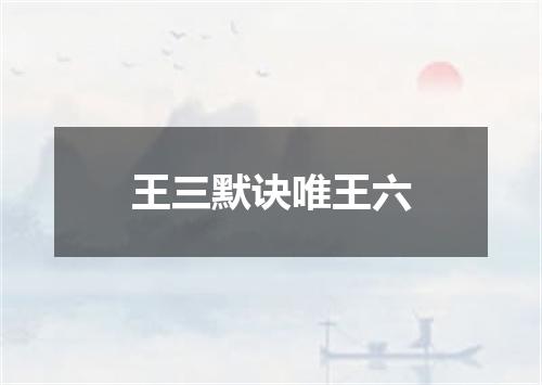 王三默诀唯王六