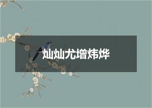 灿灿尤增炜烨