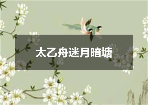 太乙舟迷月暗塘