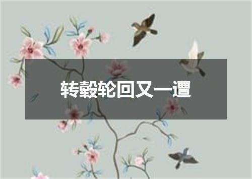 转毂轮回又一遭