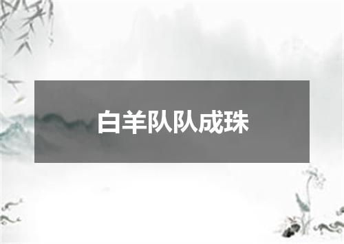 白羊队队成珠