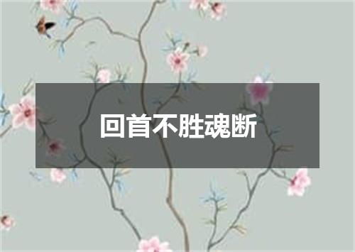 回首不胜魂断