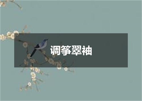 调筝翠袖