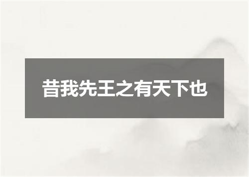 昔我先王之有天下也