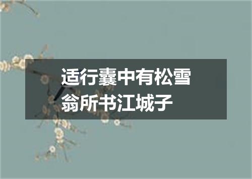适行囊中有松雪翁所书江城子