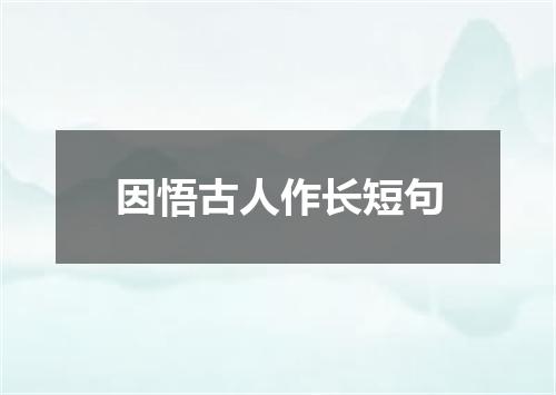 因悟古人作长短句