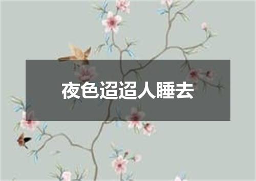 夜色迢迢人睡去