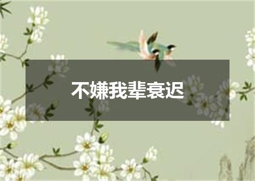 不嫌我辈衰迟